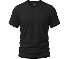 Bergson DEV | Herren PREMIUM T-Shirt,  reine Baumwolle, 175 g/qm - schwarz